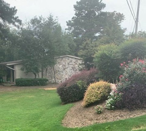 a yard with a house and some bushes and trees